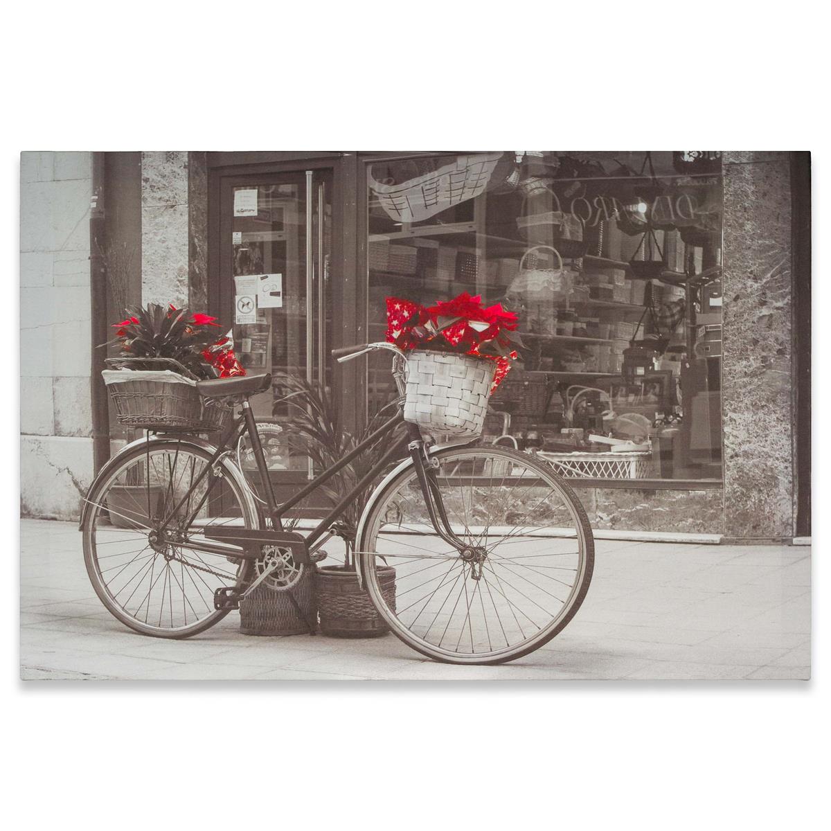 Wandbild Kunstdruck Fahrrad Weihnachtsstern 40x60 cm Bild mit Aufhängung
