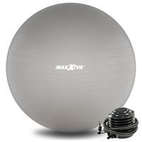 MAXXIVA Gymnastikball Ø 65 cm Silber mit Pumpe Sitzball Fitness Yoga Pilates