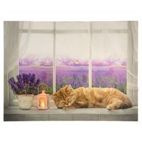 Wandbild mit Beleuchtung Leinwand 1 LED Katze am Fenster Timer 30 x 40 cm