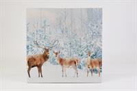 Wandbild mit Hirschen im verschneiten Wald Kunstdruck 40 x 40 cm