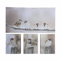 Wandbildset mit Kunstdruck  Spatzen auf Ast 50x26x1,8 cm// 15x20x1,5 cm